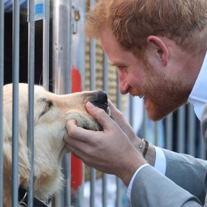 Le prince Harry, duc de Sussex, et Meghan Markle, duchesse de Sussex, ont vu une rare copie de la déclaration d'indépendance américaine à Edes House, Brighton dans le Sussex le 3 octobre 2018. 3 October 2018.