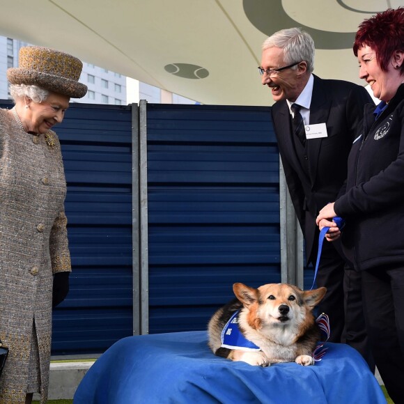 La reine Elizabeth II heureuse de voir un corgi lors de sa visite au refuge "Battersea Dogs And Cats Home" à Londres, le 17 mars 2015.