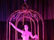 Dita Von Teese dans le plus simple appareil va vous enchanter... C'est très beau !
