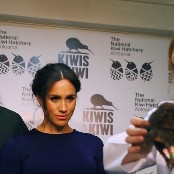 La duchesse Meghan de Sussex (Meghan Markle), enceinte, et le prince Harry le 31 octobre 2018 lors de la visite d'un élevage de kiwis à Rainbow Springs, Rotorua, en Nouvelle-Zélande.