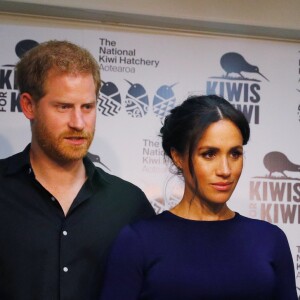 La duchesse Meghan de Sussex (Meghan Markle), enceinte, et le prince Harry le 31 octobre 2018 lors de la visite d'un élevage de kiwis à Rainbow Springs, Rotorua, en Nouvelle-Zélande.