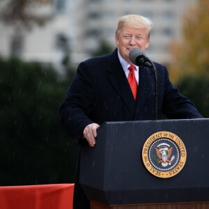 Le président des Etats Unis Donald Trump rend hommage aux soldats américains morts lors de la première guerre mondiale au cimetière américain de Suresnes le 11 novembre 2018. © Romuald Meigneux/Pool/Bestimage
