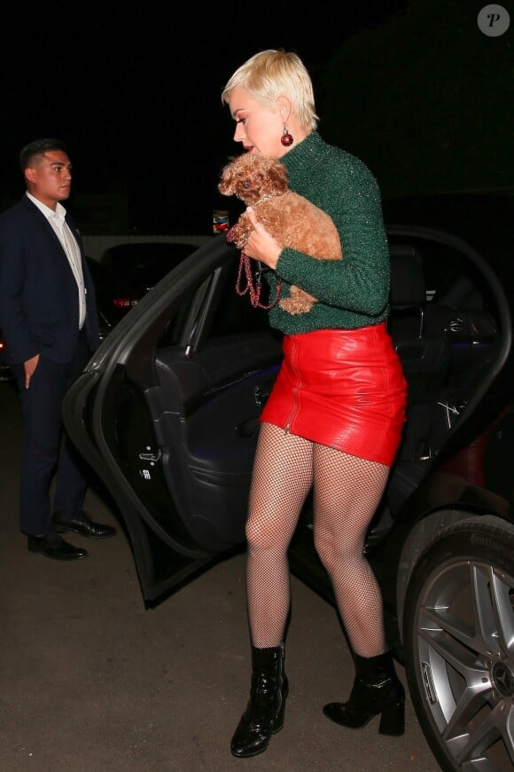 Exclusif - Katy Perry est allée diner en compagnie de son petit chien Nugget à Santa Monica, le 2 décembre 2018