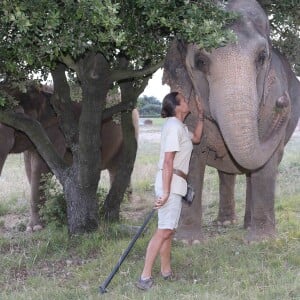 Exclusif - Stéphanie de Monaco fête le 1er anniversaire de l'arrivée des éléphantes Baby et Népal au domaine de Fontbonne sur la commune de Peille, le 12 juillet 2014.