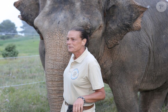 Exclusif - La princesse Stéphanie de Monaco fête le 1er anniversaire de l'arrivée des éléphantes Baby et Népal au domaine de Fontbonne sur la commune de Peille, le 12 juillet 2014.
