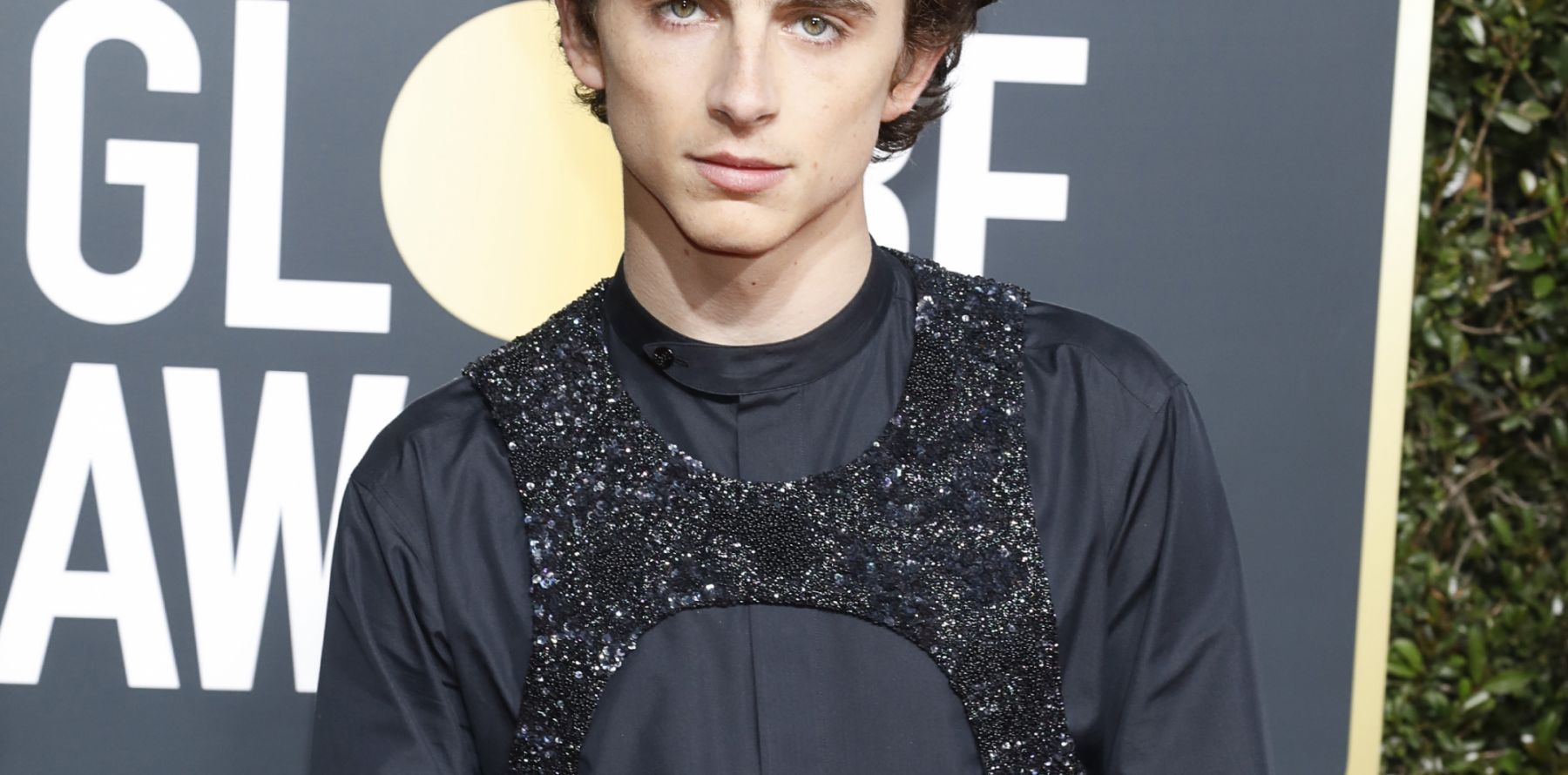 Timothée Chalamet Le meilleur look des Golden Globes, c'est lui