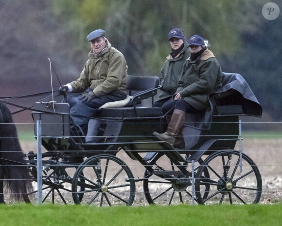 Le prince Philip, duc d'Edimbourg, fait un tour de calèche à Windsor le 10 décembre 2018.