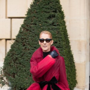 Céline Dion et son ami Pepe Munoz à la sortie de l'hotel Crillon, à Paris, se rendent au théâtre Mogador le 27 Janvier 2019