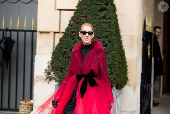 Céline Dion et son ami Pepe Munoz à la sortie de l'hotel Crillon, à Paris, se rendent au théâtre Mogador le 27 Janvier 2019