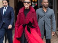 Céline Dion superbe dans un look de gala pour applaudir Chicago