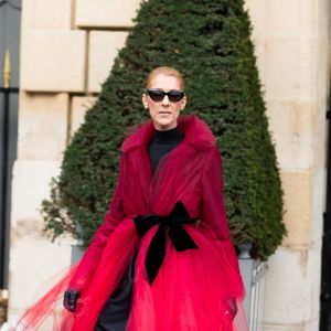 Céline Dion à la sortie de l'hotel Crillon à Paris le 27 Janvier 2019.