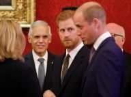 Prince Harry : En froid avec son frère William à cause de Meghan Markle ?