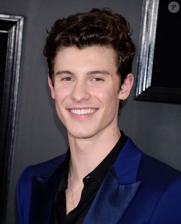 Shawn Mendes - Les célébrités arrivent à la 61ème soirée annuelle des GRAMMY Awards à Los Angeles, le 10 février 2019