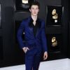 Shawn Mendes - Les célébrités posent lors du photocall de la soirée des GRAMMY Awards au Staples Center de Los Angeles le 10 février, 2019