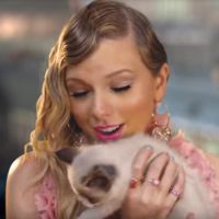 Taylor Swift adopte un nouveau chaton et lui donne un drôle de nom
