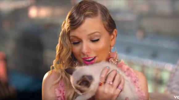 Taylor Swift adopte un nouveau chaton et lui donne un drôle de nom