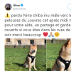 La chanteuse Alma a partagé des photos de son chien, perdu à Paris, le 12 mai 2019