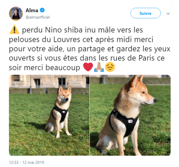 La chanteuse Alma a partagé des photos de son chien, perdu à Paris, le 12 mai 2019
