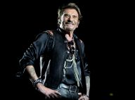 Héritage de Johnny Hallyday : la décision tant attendue est tombée...