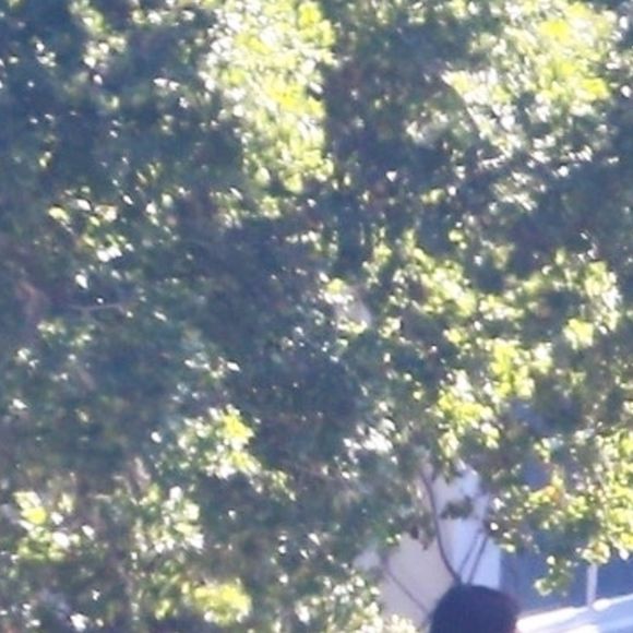 Arrivée de Katherine Schwarzenegger et Chris Pratt à leur mariage au Ranch de San Ysidro à Montecito, le 8 juin 2019