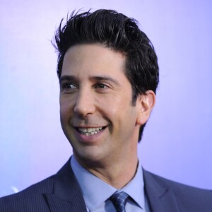 David Schwimmer lors de l'avant-première du film Madagascar 3 à New York le 7 juin 2012.