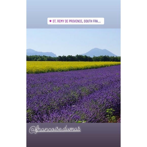 Charlotte Casiraghi et Dimitri Rassam se sont mariés religieusement à Saint-Remy-de-Provence le 29 juin 2019.