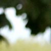 Elsa Zylberstein et Philippe Sereys de Rothschild au Château Mouton Rothschild lors de la 5ème édition "Les Vendanges du 7ème Art : Festival International du Film en Médoc" à Pauillac, le 9 juillet 2019. © Patrick Bernard/Jean-Marc Lhomer/Bestimage