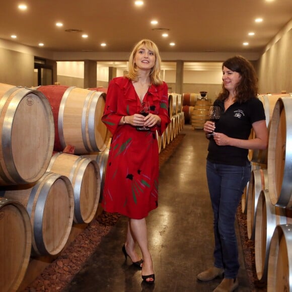 Exclusif - L'actrice Julie Gayet à l'occasion de sa journèe de conférence et de masterclass sur le cinéma au Féminin durant le festival du film international de Pauillac, dans le Médoc, a pu visiter le prestigieux Château Grand-Puy Ducasse, Grand cru classé, qui a la particularité d'avoir une femme maître de chais, Cécile Barnier, à la tête des précieuses cuvées. Julie Gayet était heureuse et étonnée de voir une femme à la tête des caves du château. Elle a ensuite réalisé une photo en 3D et en mouvement avec un système regroupant une vingtaine d'appareils photos déclenchant en même temps, à Pauillac, France, le 10 Juillet 2019. © Bernard-Lhomer/Bestimage