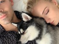 Sophie Turner et Joe Jonas : Leur chien Waldo tué, les jeunes mariés choqués