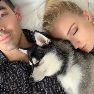 Joe Jonas et Sophie Turner en pleine sieste avec l'un de leurs deux chiens de race alaskan klee kai, Porky et Waldo, en juin 2019, photo Instagram.