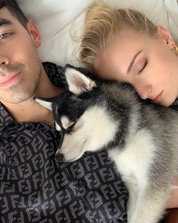 Joe Jonas et Sophie Turner en pleine sieste avec l'un de leurs deux chiens de race alaskan klee kai, Porky et Waldo, en juin 2019, photo Instagram.