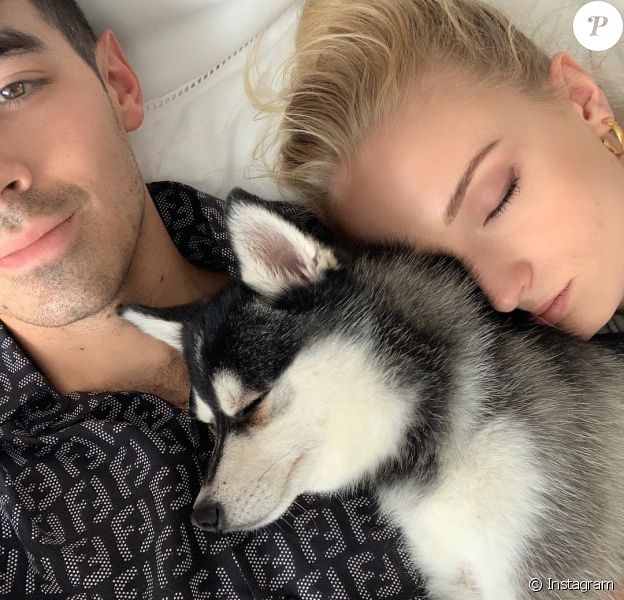 Joe Jonas et Sophie Turner en pleine sieste avec l'un de leurs deux chiens de race alaskan klee kai, Porky et Waldo, en juin 2019, photo Instagram.