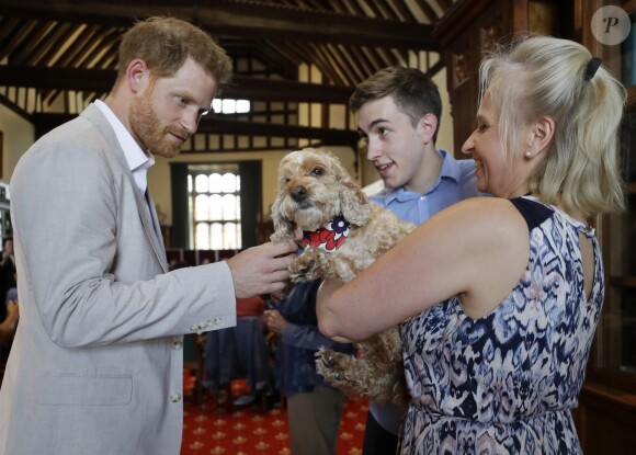Le prince Harry, duc de Sussex, s'entretient avec le Dr Jane Goodal dans le cadre se son programme Roots & Shoots Global Leadership au chateau de Windsor dans le Berkshire, le 23 juillet 2019.