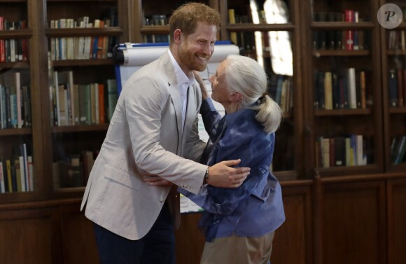 Le prince Harry, duc de Sussex, s'entretient avec le Dr Jane Goodal dans le cadre se son programme Roots & Shoots Global Leadership au chateau de Windsor dans le Berkshire, le 23 juillet 2019.