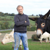 Julien (32 ans), Alsace-Champagne-Ardenne-Lorraine