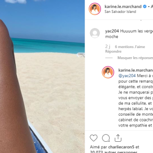 Karine Le Marchand répond à un odieux commentaire sur Instagram, le 18 août 2019