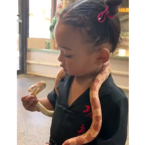 Kim Kardashian laisse sa fille Chicago (1 an et 7 mois) tenir un serpent- Instagram- 21 août 2019.