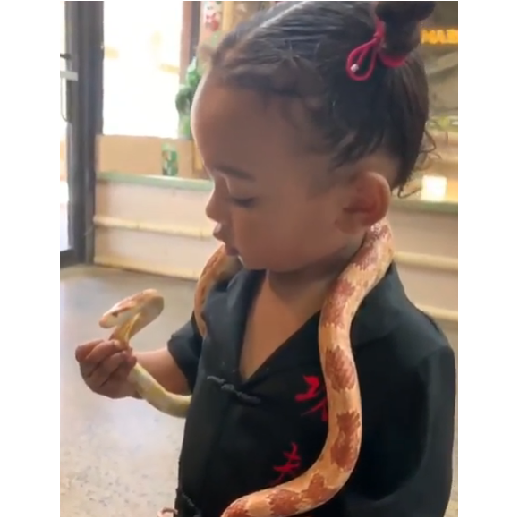 Kim Kardashian laisse sa fille Chicago (1 an et 7 mois) tenir un serpent- Instagram- 21 août 2019.
