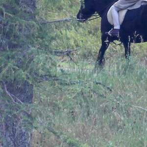 La reine Elizabeth II de sortie à cheval sur les terres du château de Balmoral en Ecosse, le 14 août 2019.