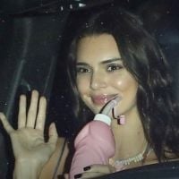 Hailey Baldwin : Verres en pénis, Kendall Jenner... Son EVJF "sauvage"