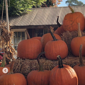 Kylie Jenner, Travis Scott et leur fille Stormi sont partis à la cueillette aux citrouilles à l'approche de la fête d'Halloween. Le 16 octobre 2019.