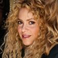Exclusif -  Shakira accusée d'une fraude fiscale de 14,5 millions d'euros, la chanteuse colombienne est soupçonnée par la justice espagnole de s'être fictivement domiciliée aux Bahamas. Le parquet de Barcelone a présenté, vendredi 14 décembre, un acte d'accusation contre la célèbre chanteuse colombienne Shakira. Le procureur demande la mise en examen de Shakira et une caution de 19,4 millions d'euros et l'accuse de six délits. Barcelone le 14 décembre 2018.
