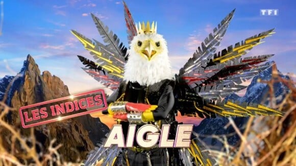 Portrait et performance de l'Aigle, personnage de "Mask Singer", sur TF1.