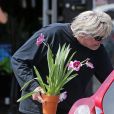 Exclusif - Gary Busey achète une plante à Malibu, le 22 mai 2017