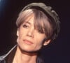 Avec de nombreux tubes comme Mon amie la rose, Message personnel, Tous les garçons et les filles ou encore La maison où j'ai grandi.
Archives - Françoise Hardy sur le plateau d'une émission télévisée en 1993.