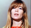 Véritable icone révélée dans la période yéyé des années 60, son style et sa musique auront su traverser les époques.
Archives - Françoise Hardy. Photographie non datée.