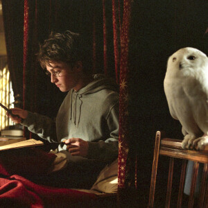 Daniel Radcliffe dans "Harry Potter et le prisonnier d'Azkaban". 2004. @Warner Bros/KRT/ABACA.