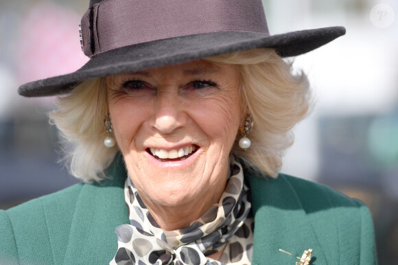 Camilla Parker Bowles, duchesse de Cornouailles arrive au festival de Cheltenham à l'hippodrome de Cheltenham le 11 mars 2020.