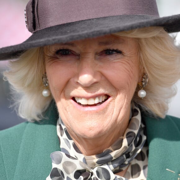 Camilla Parker Bowles, duchesse de Cornouailles arrive au festival de Cheltenham à l'hippodrome de Cheltenham le 11 mars 2020.