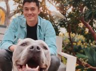 Henry Golding (Crazy Rich Asians) : Son nouveau pitbull agresse un chien